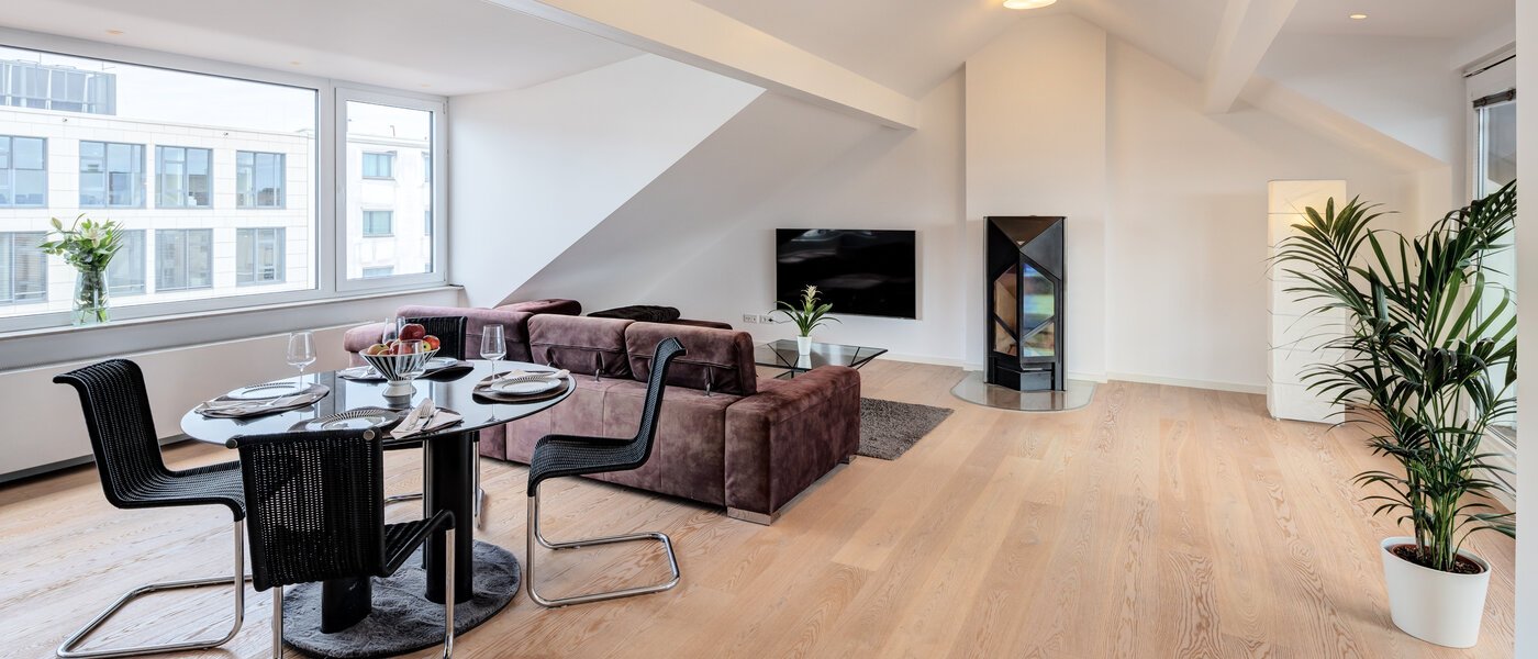 appartement sous les toits München Maxvorstadt 02 pièce à vivre 14568