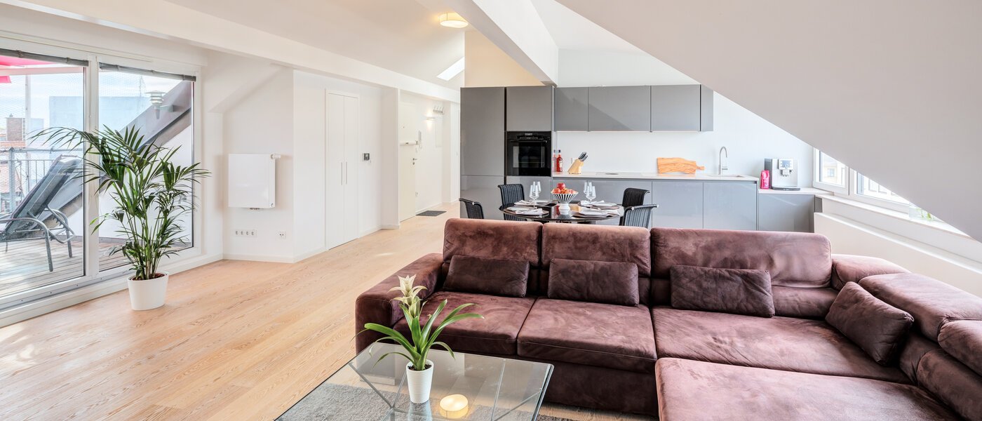 appartement sous les toits München Maxvorstadt 04 pièce à vivre 14568