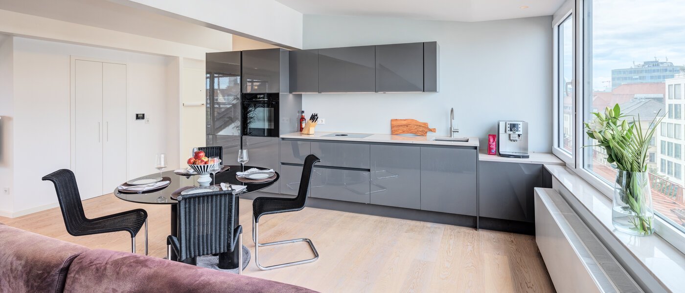 appartement sous les toits München Maxvorstadt 05 pièce à vivre 14568