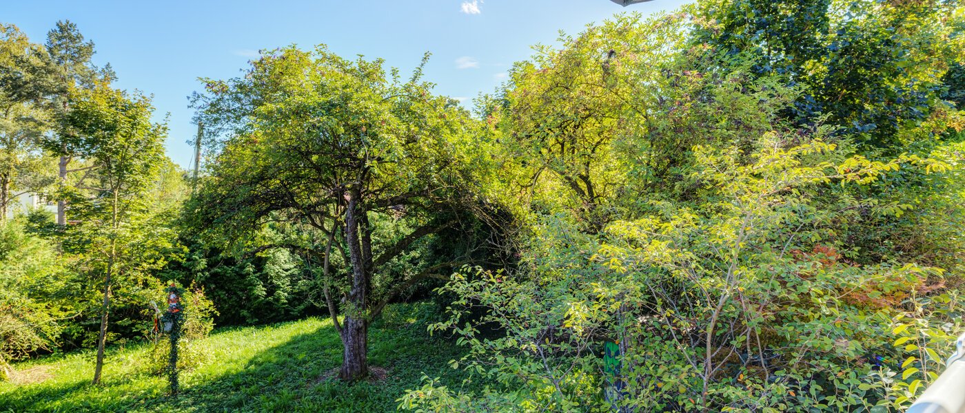 appartement style maisonnette Gröbenzell 04 vue 14575