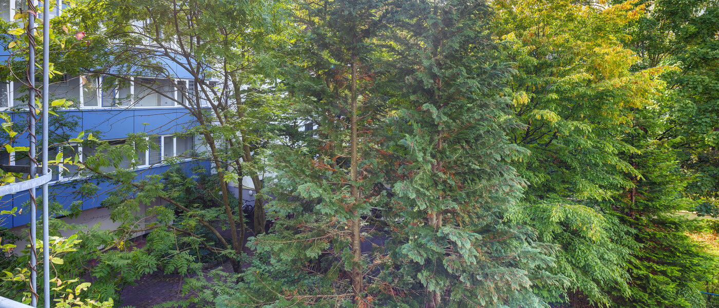 appartement München Obergiesing 01 vue 14597