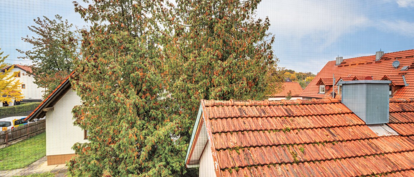 maison individuelle Ismaning 02 vue 14615