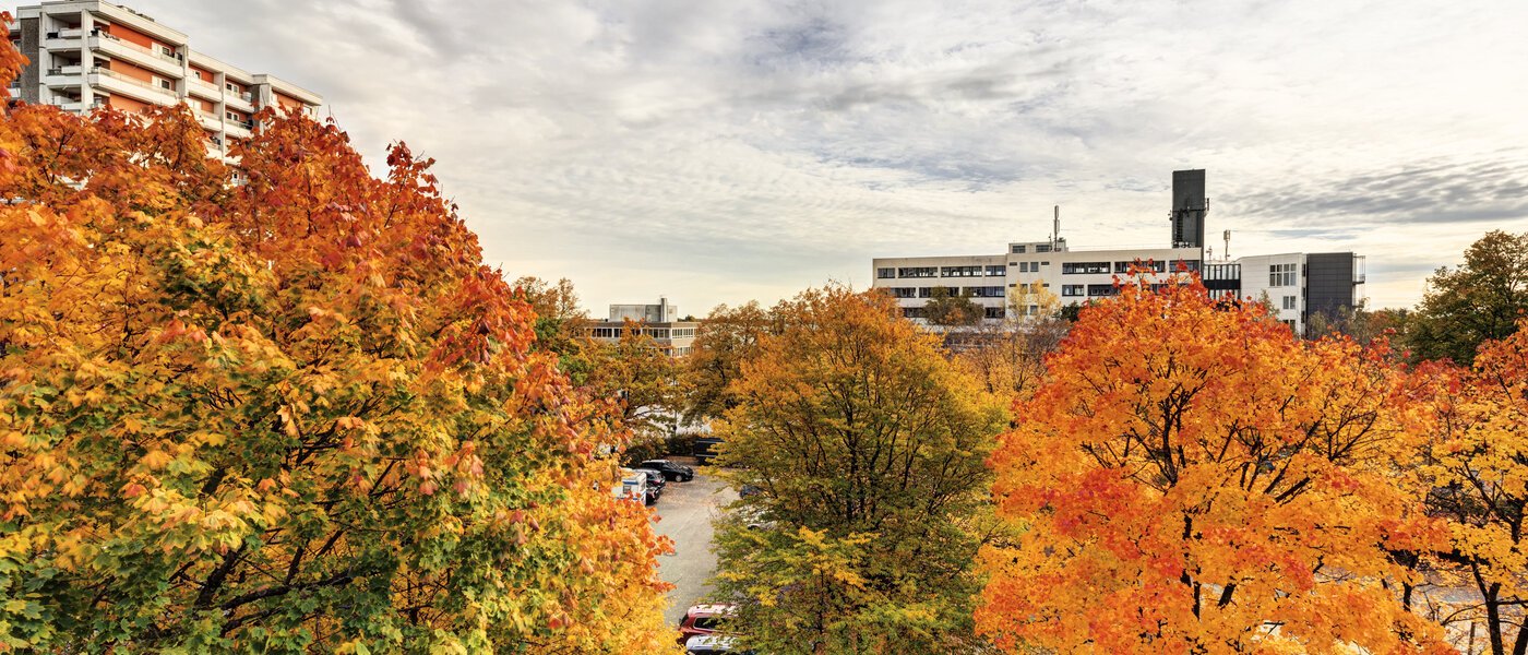 appartement Taufkirchen 01 vue 14620