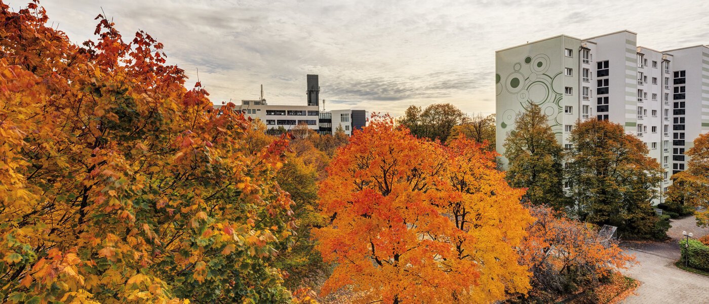 appartement Taufkirchen 02 vue 14620