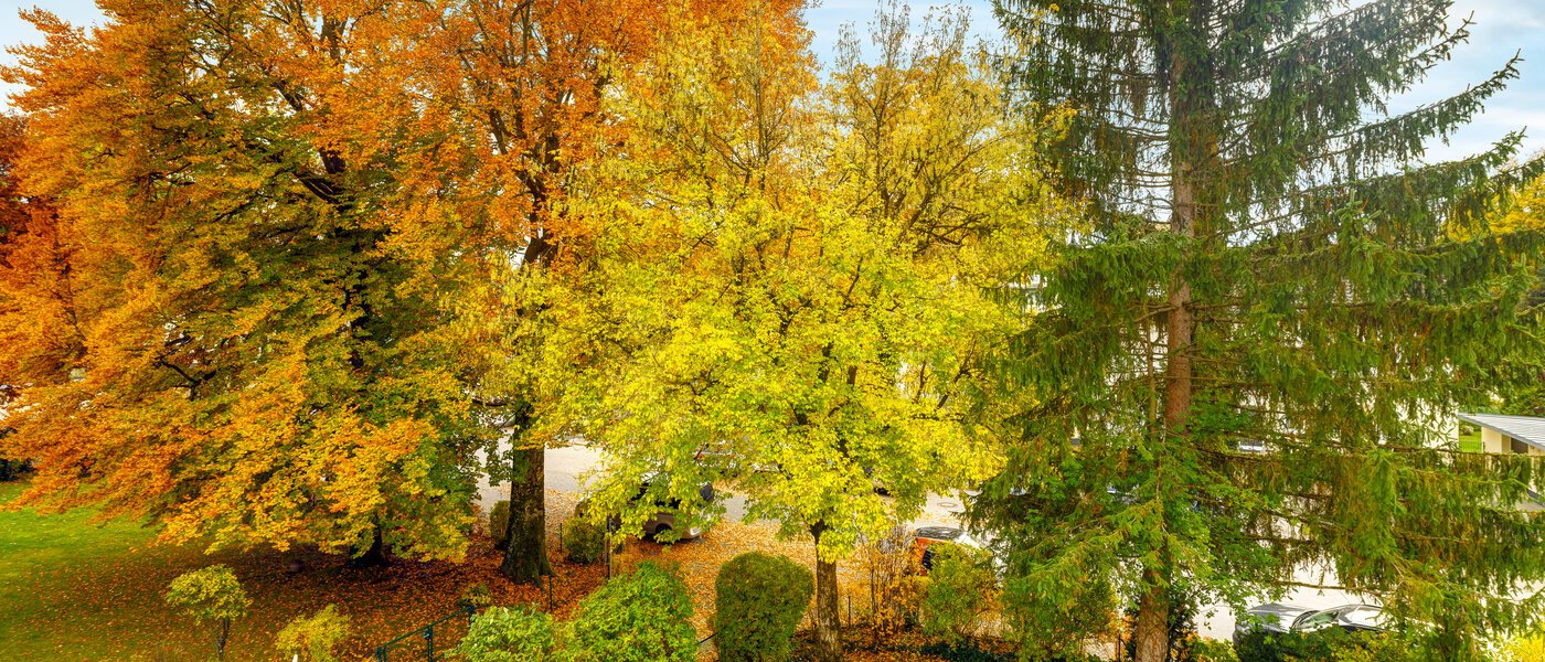 appartement Grünwald 01 vue 14631