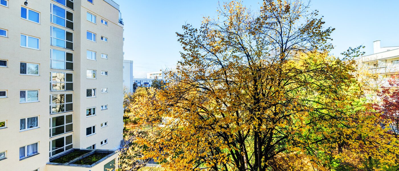 appartement München Moosach 02 vue 14638