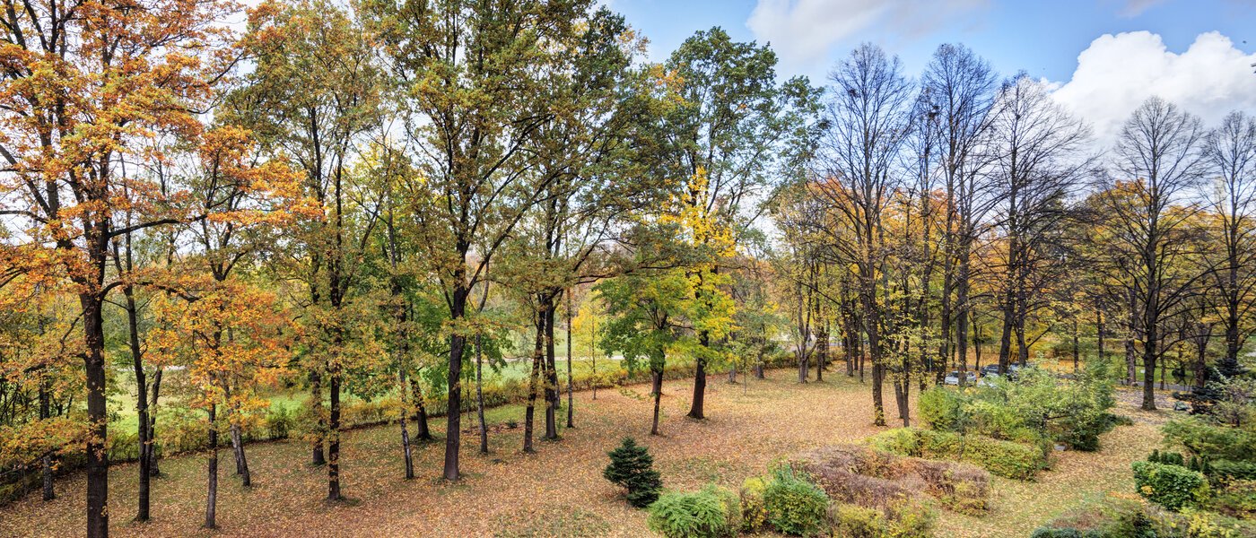 appartement München Bogenhausen 01 vue 14639