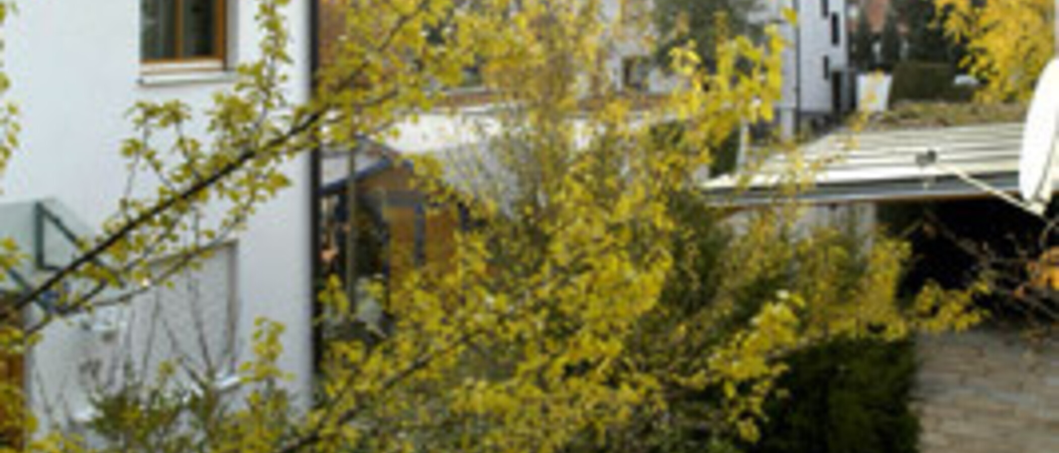 maison mitoyenne München Trudering 04 vue 1464