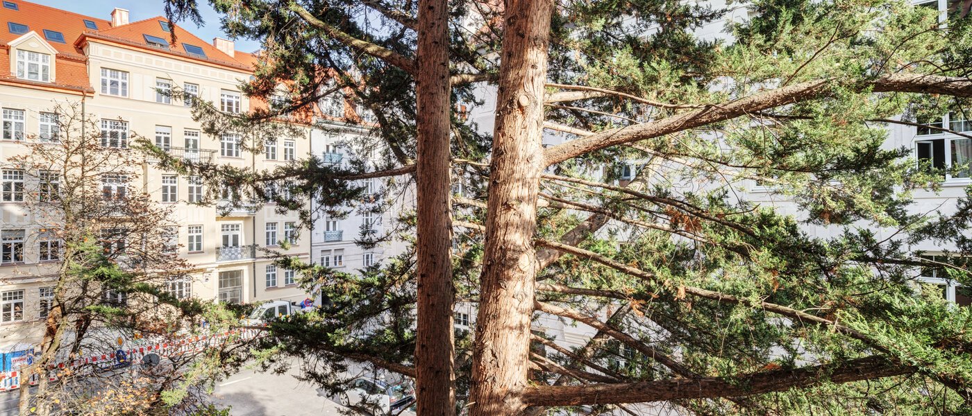 appartement München Schwabing-West 02 vue 14646