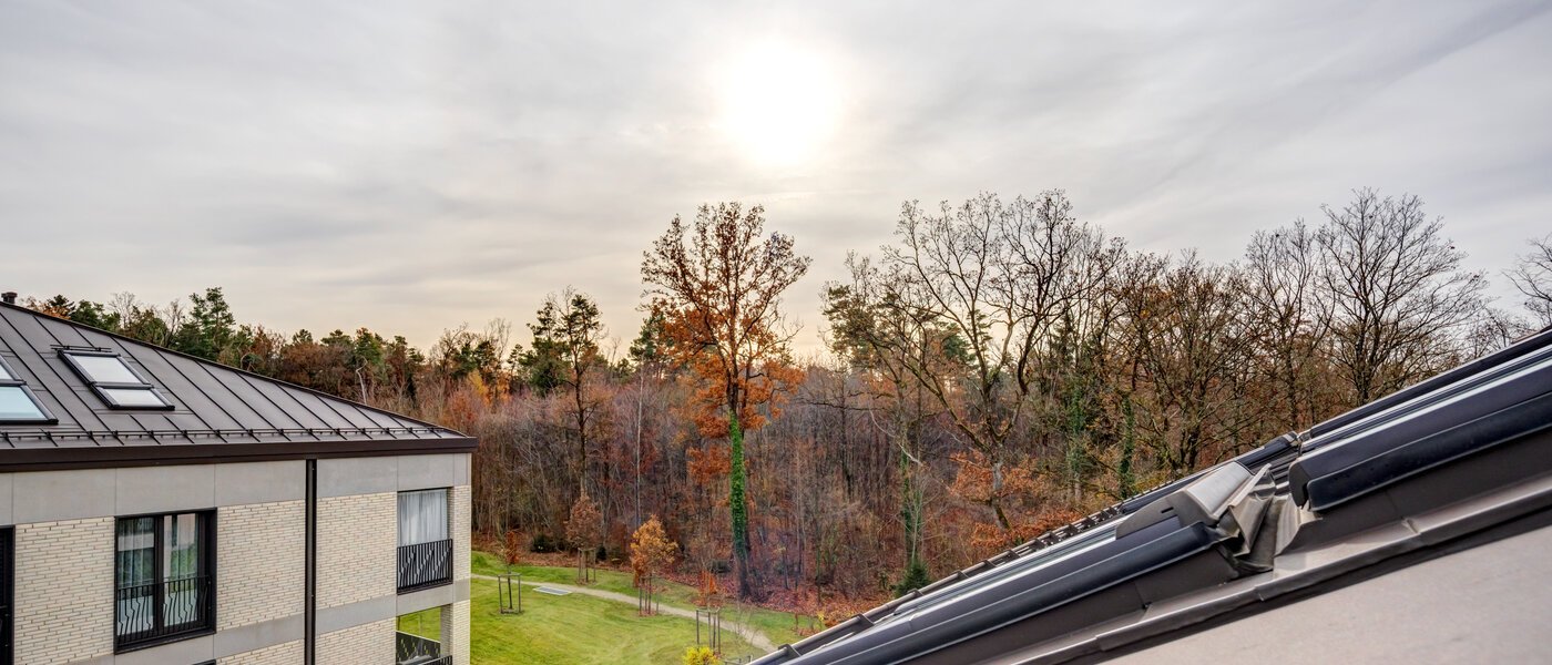 appartement style maisonnette Haar 01 vue 14664