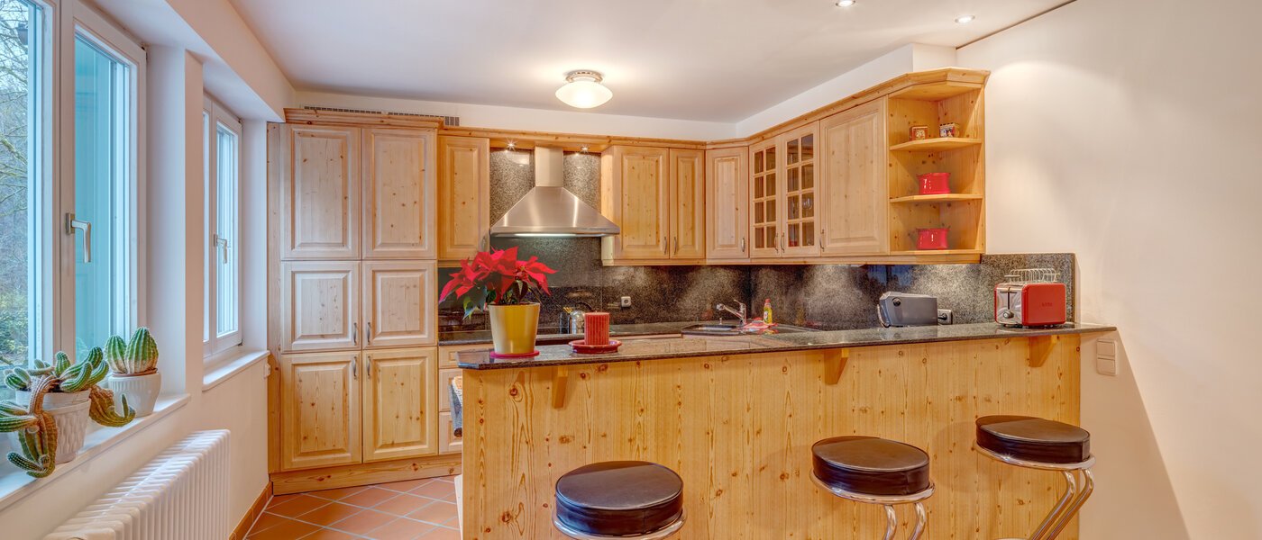 appartement München Fasangarten 01 cuisine 14668