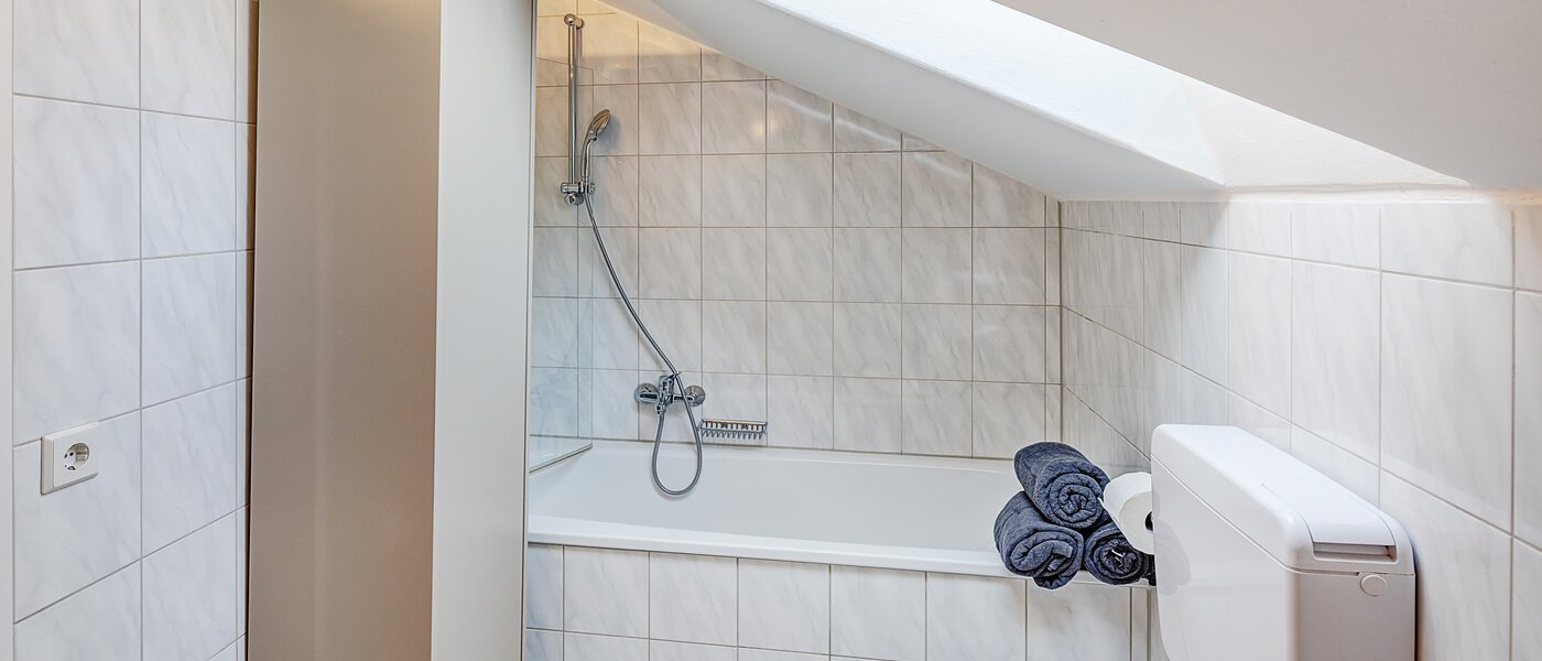 appartement sous les toits Dachau 01 salle de bain 14669