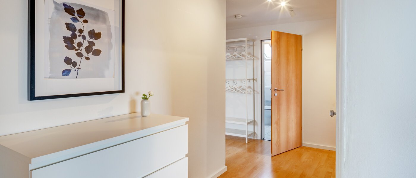 appartement sous les toits Dachau 02 entrée/couloir 14669