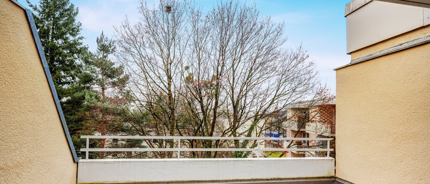 appartement avec terrasse sur le toit München Nymphenburg 02 1ére terrasse sur le toit 14694