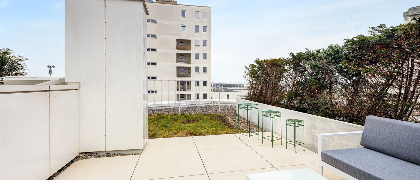 appartement avec terrasse sur le toit München Neuhausen 03 terrasse sur le toit 14699