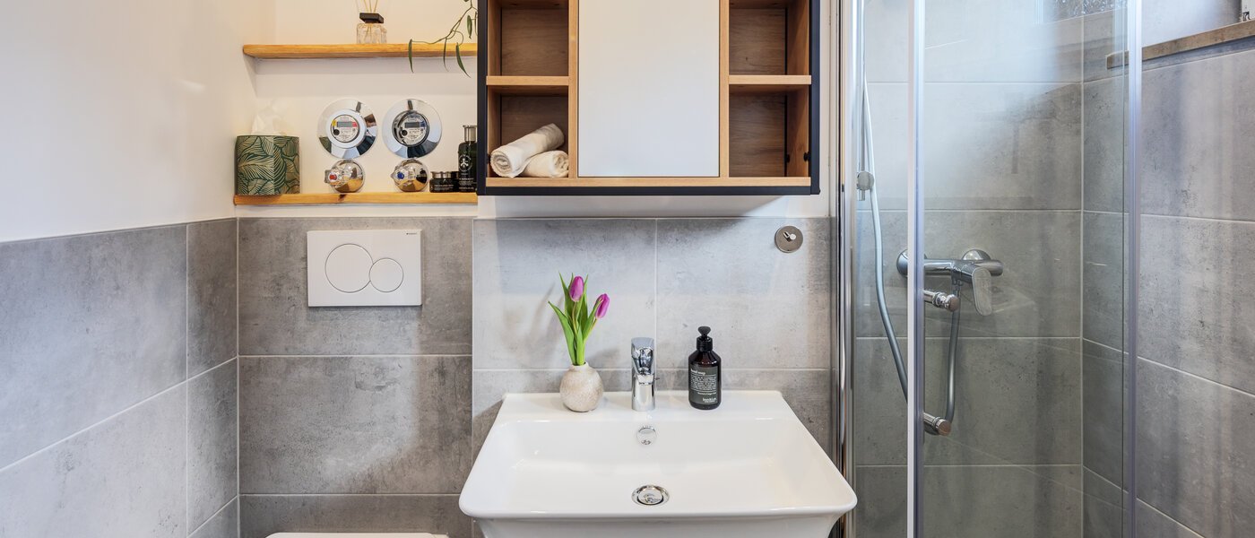 appartement München Obermenzing 03 salle de bain 14712