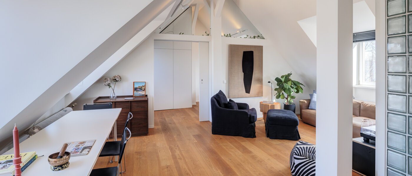 appartement avec terrasse sur le toit München Haidhausen 01 pièce à vivre 14748