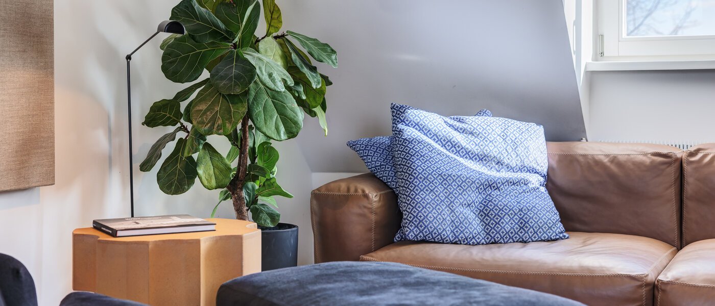 appartement avec terrasse sur le toit München Haidhausen 03 pièce à vivre 14748