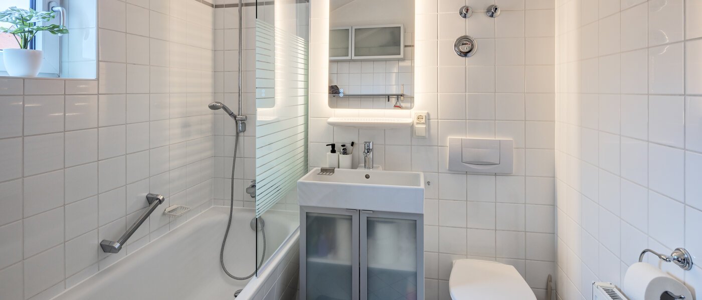 appartement avec terrasse sur le toit München Maxvorstadt 02 salle de bain 14758