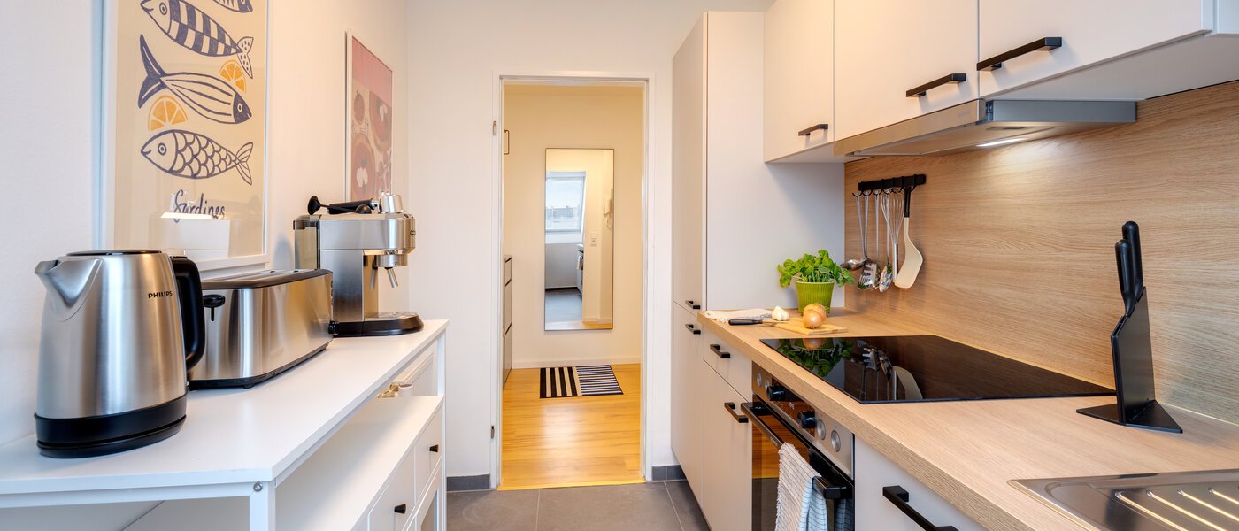 appartement sous les toits München Isarvorstadt 03 cuisine 14762