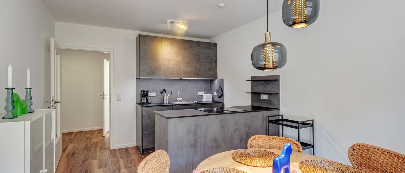 appartement München Isarvorstadt 01 cuisine 14764