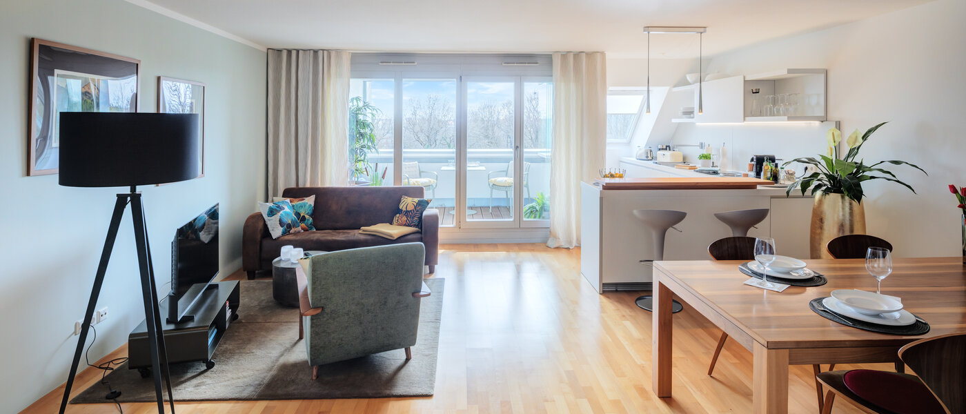 appartement sous les toits München Ludwigsvorstadt 02 pièce à vivre 14803