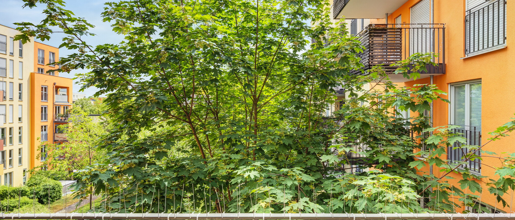 appartement München Haidhausen 02 vue 14860