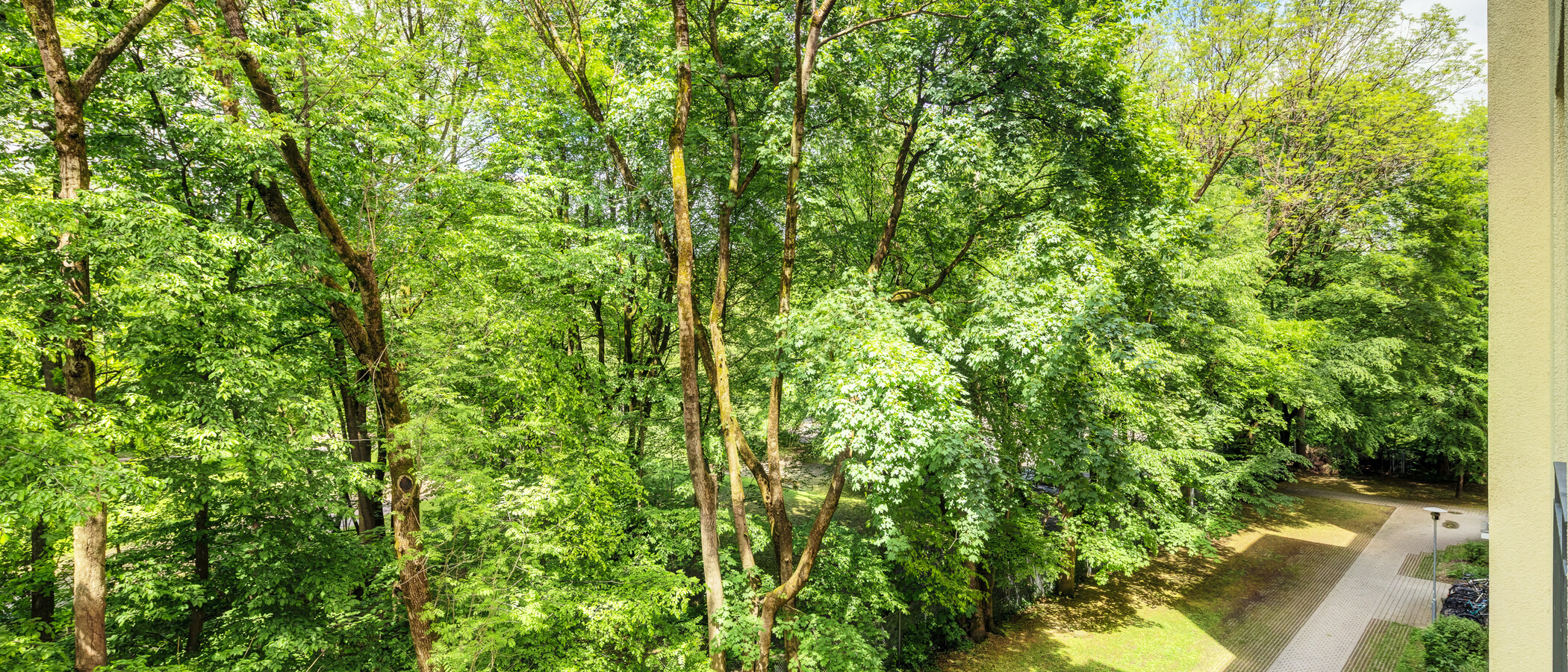appartement München Haidhausen 04 vue 14860