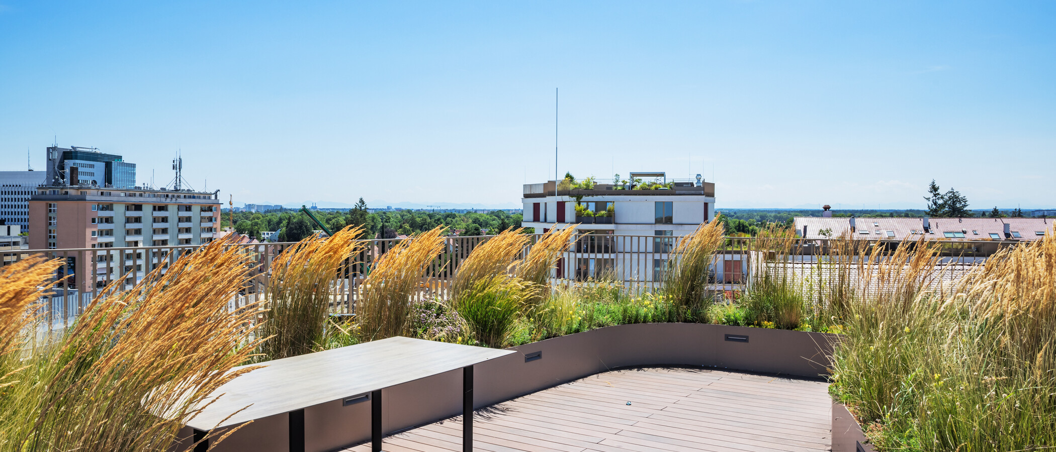 appartement München Pasing 01 terrasse commune  14930