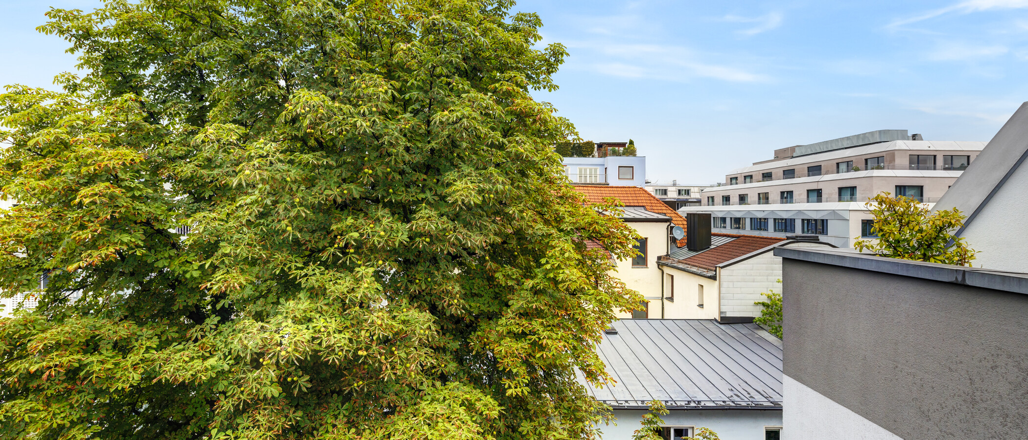 appartement avec terrasse sur le toit München Ludwigsvorstadt 02 vue 14956