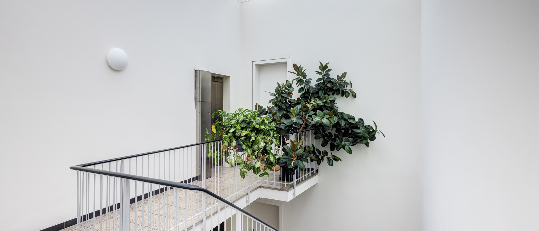 appartement avec terrasse sur le toit München Ludwigsvorstadt 01 escalier dans l‘immeuble 14956