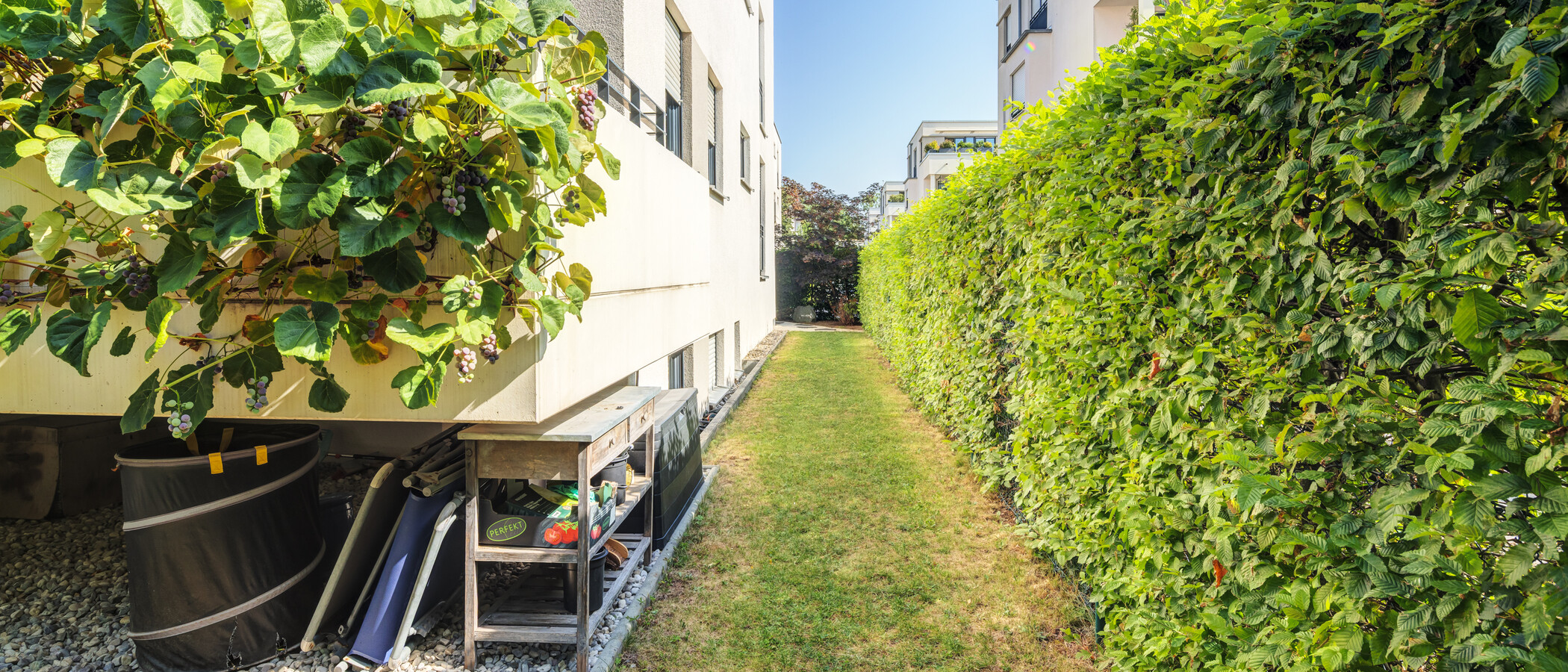 appartement style maisonnette München Oberföhring 03 jardin 14969