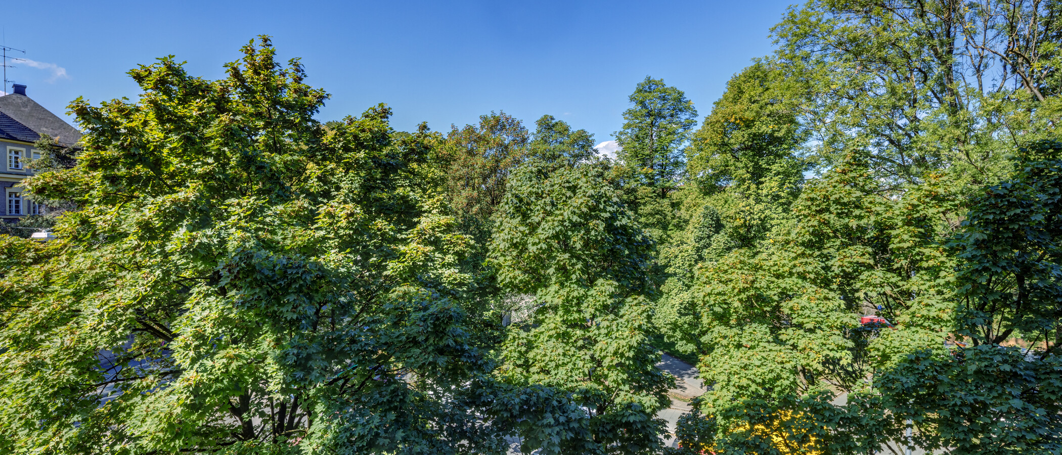 appartement München Altbogenhausen 01 vue 14997