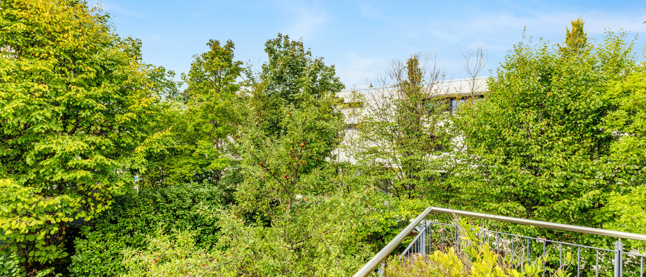 appartement München Solln 02 vue 14998