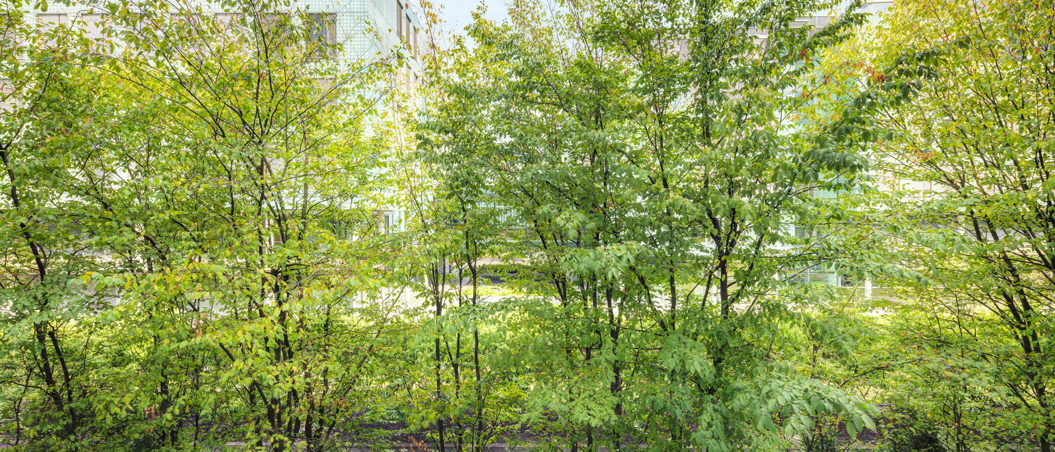 appartement München Schwanthalerhöhe 03 vue 15032