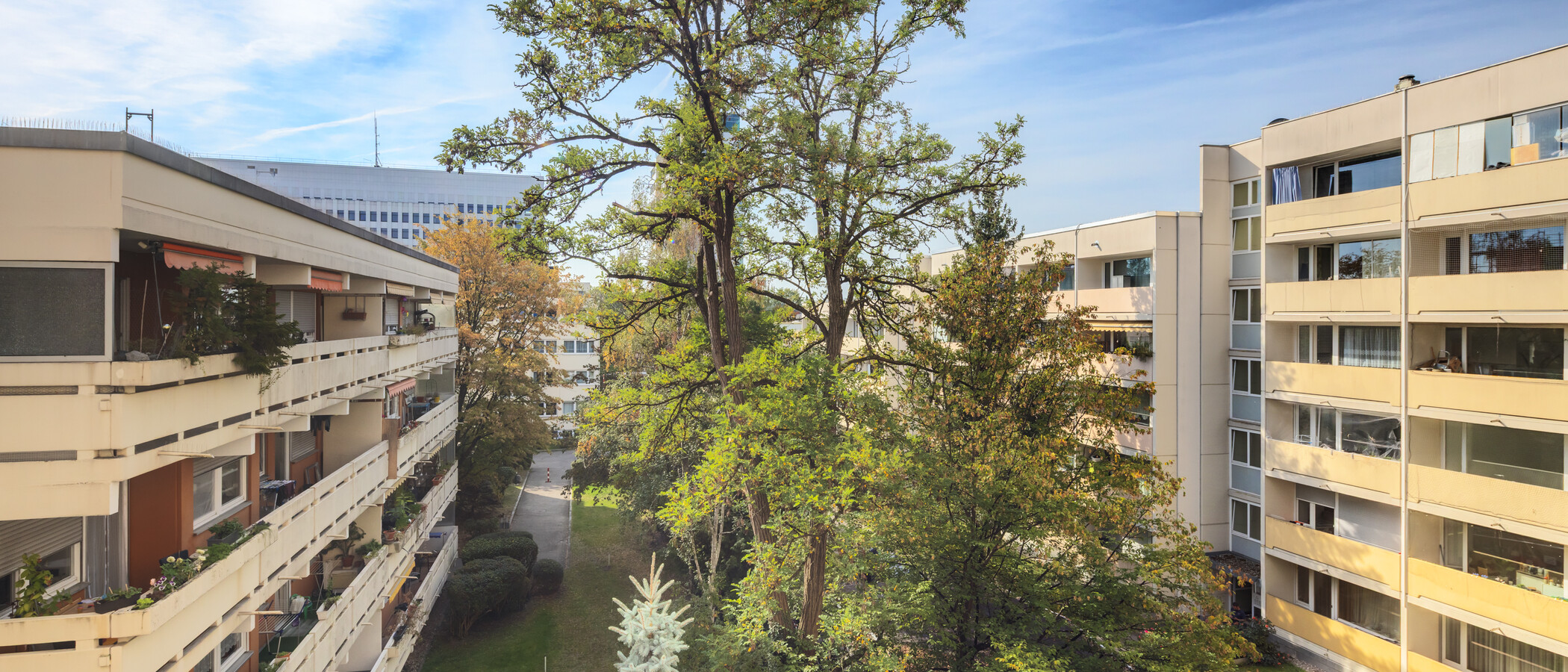 appartement München Pasing 01 vue 15037