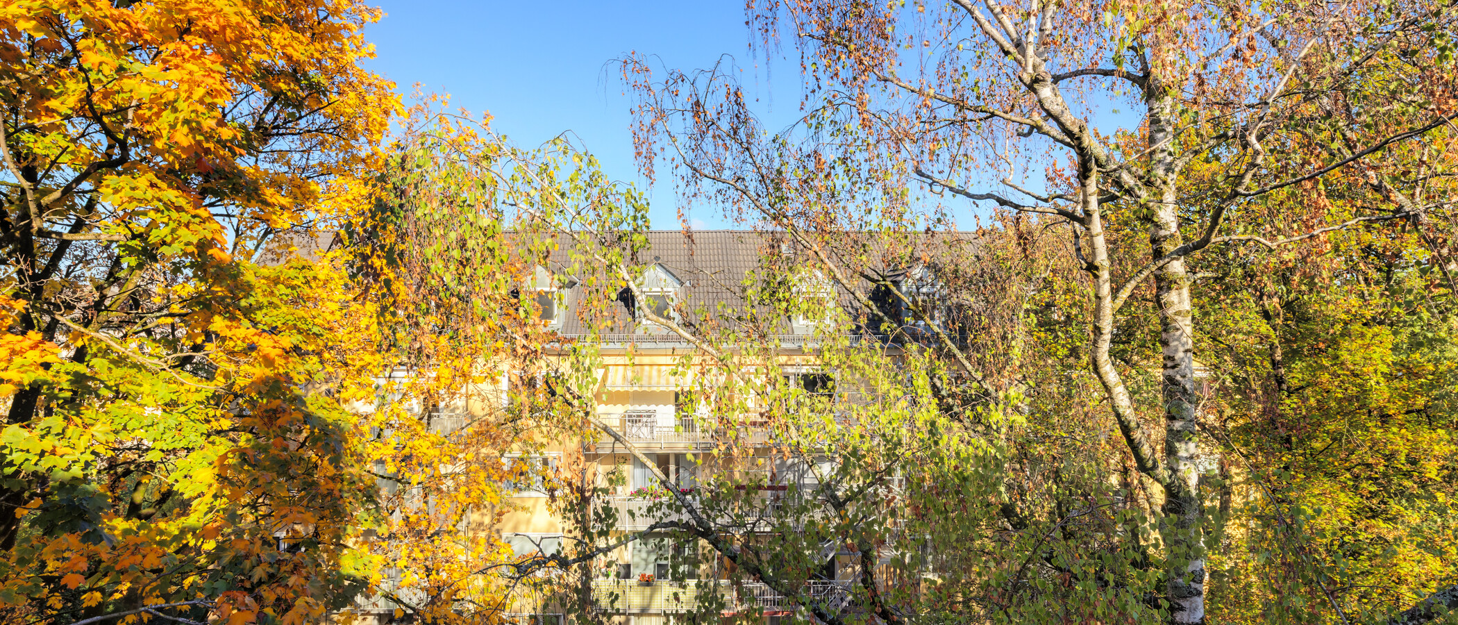 appartement avec mezzanine München Obergiesing 02 vue 15054