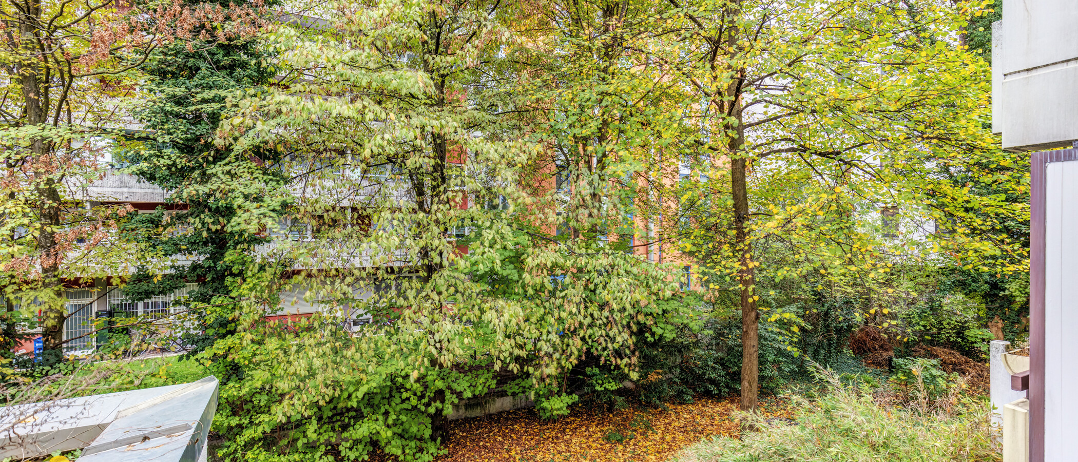 appartement München Schwabing-West (rund um den Hohenzollernplatz) 01 vue 15057