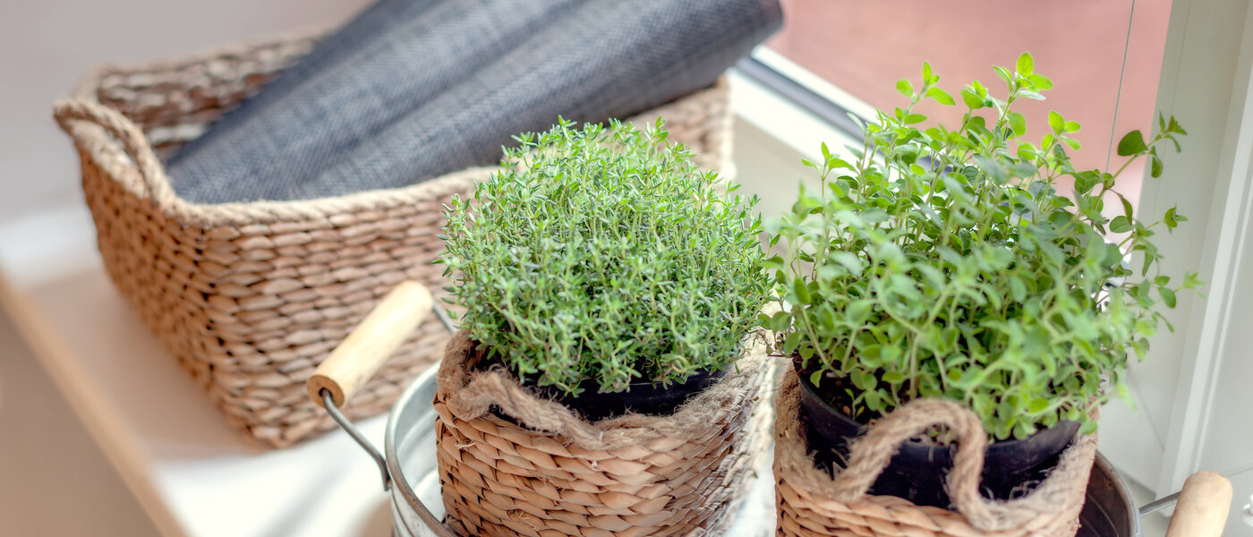 appartement München Gärtnerplatzviertel 04 cuisine 1590