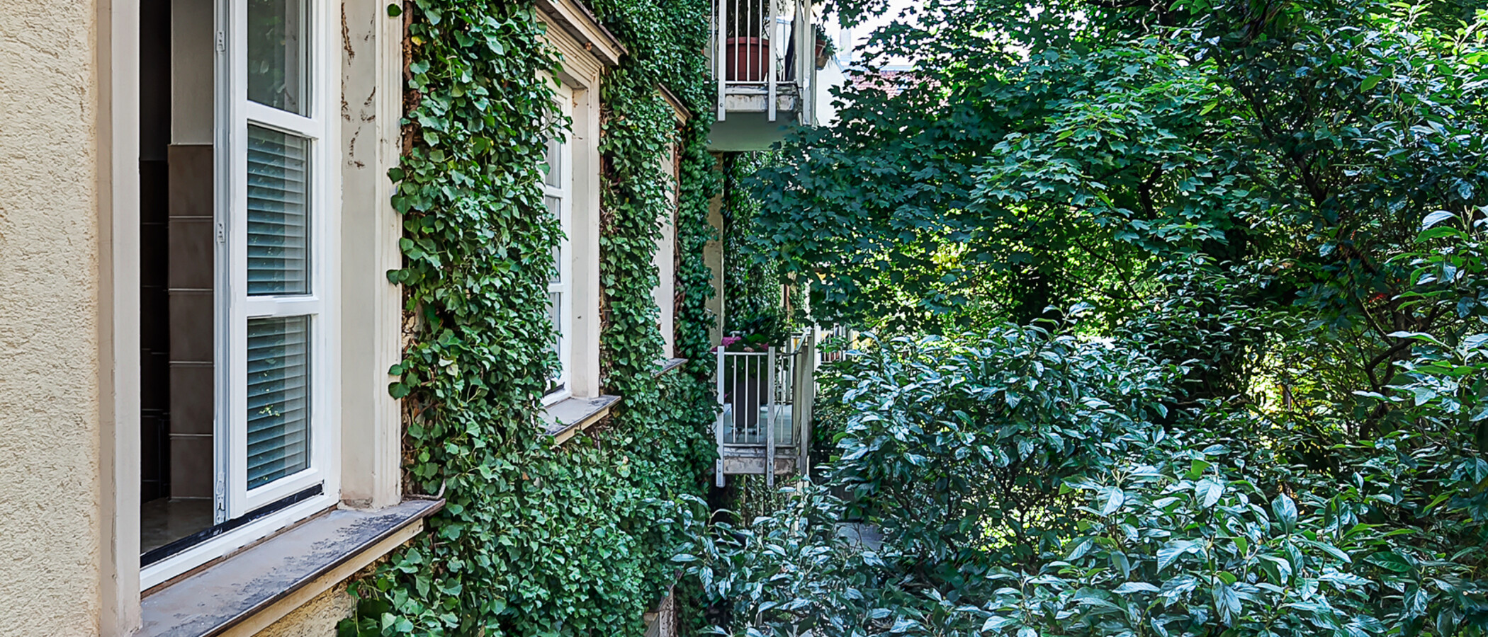 appartement München Schwabing (links der Leopoldstraße) 01 vue 1797