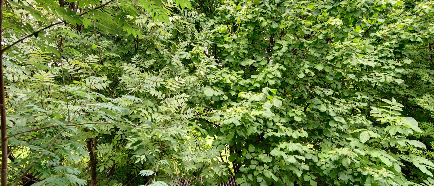 appartement München Großhadern 04 vue 2051