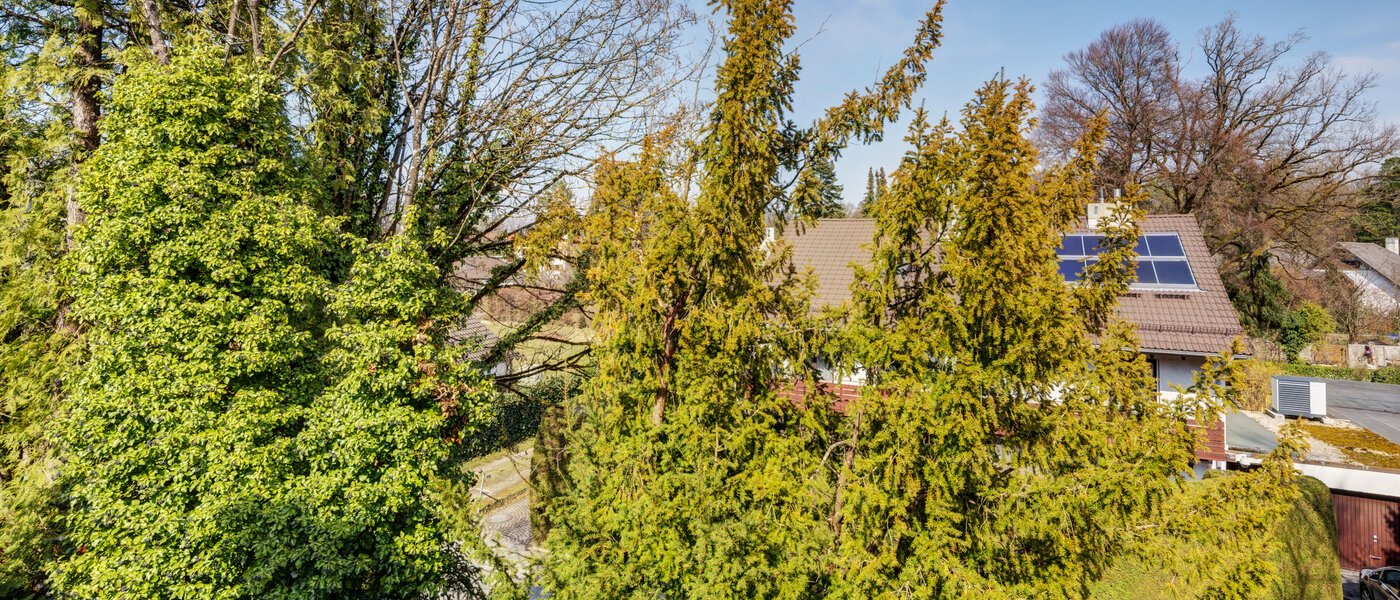 appartement München Solln 03 vue 2378