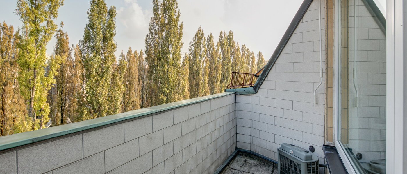 appartement München Schwabing (rechts der Leopoldstraße) 03 terrasse 2486