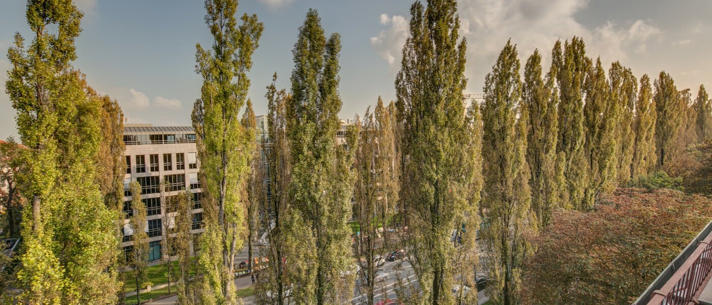 appartement München Schwabing (rechts der Leopoldstraße) 01 vue 2486