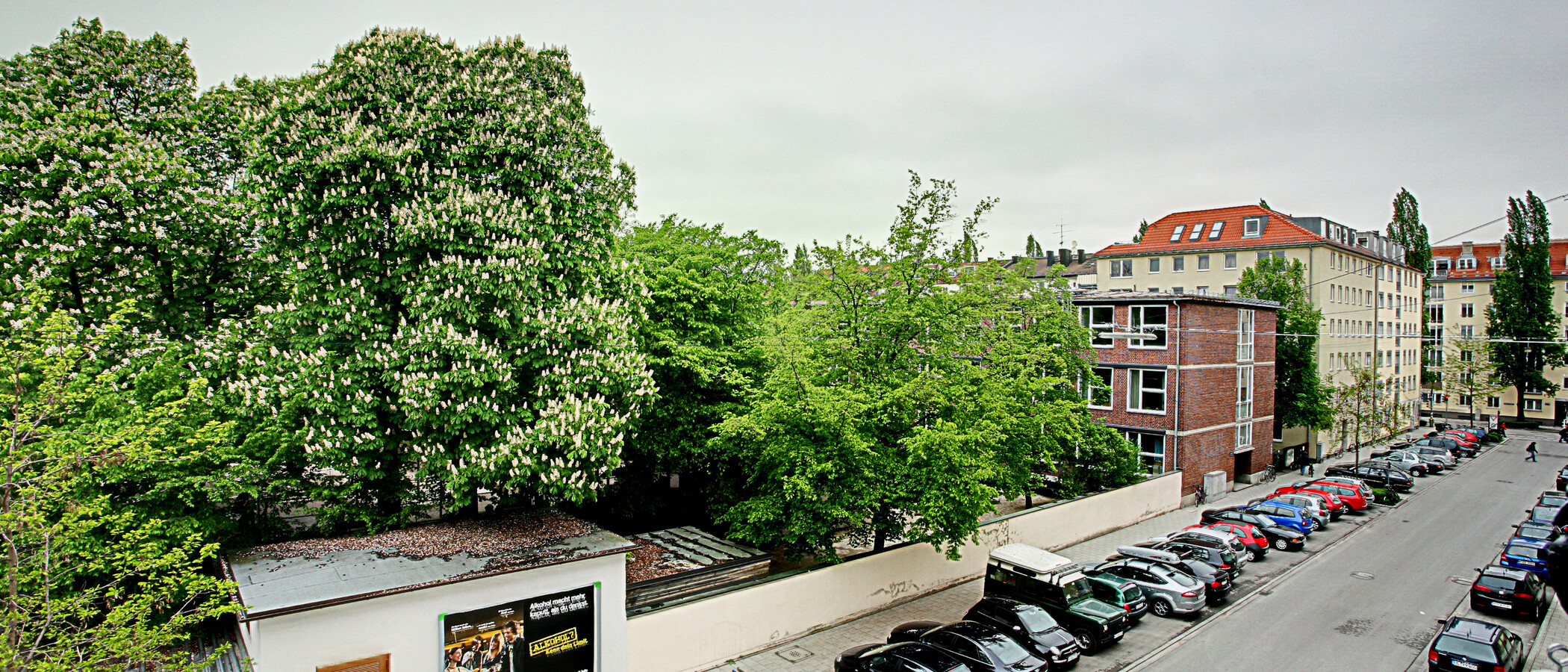 studio München Schwabing (links der Leopoldstraße) 01 vue 2684