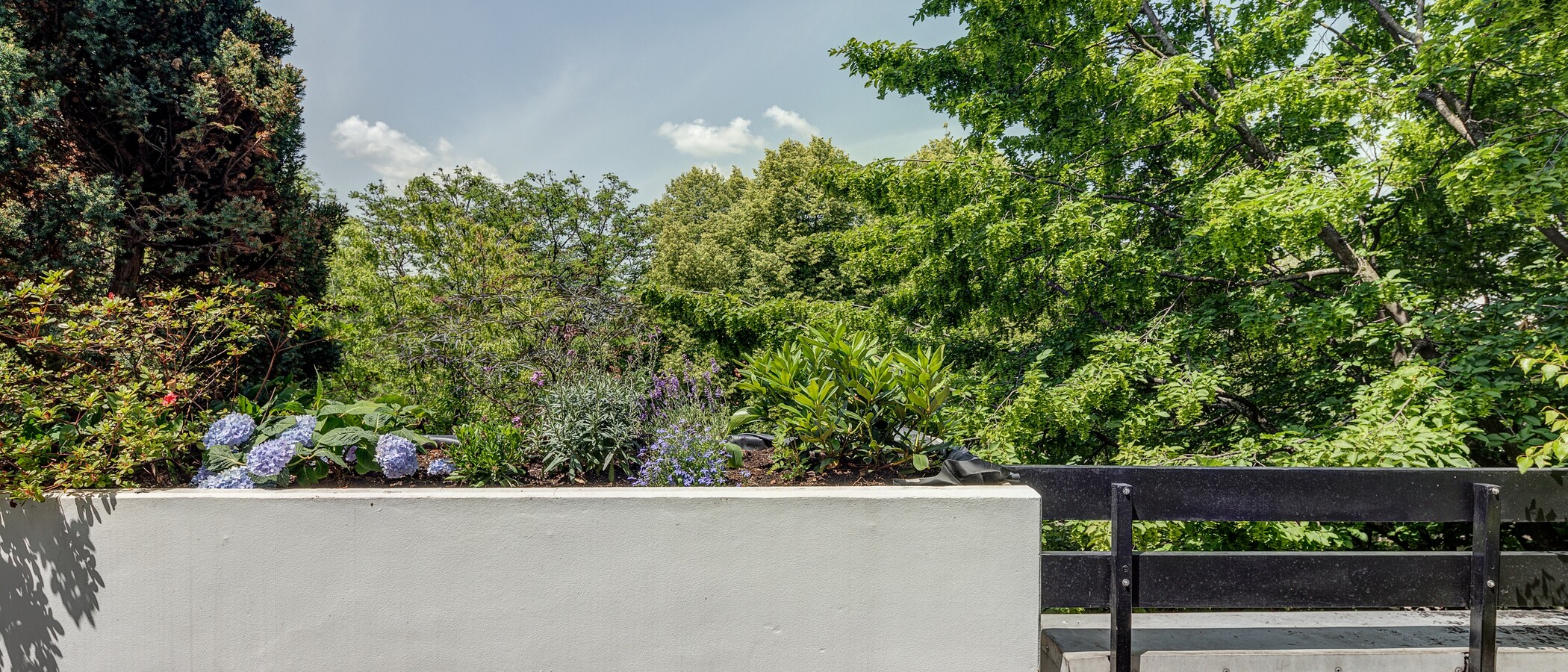 appartement avec terrasse sur le toit München Neuhausen 01 vue 2774