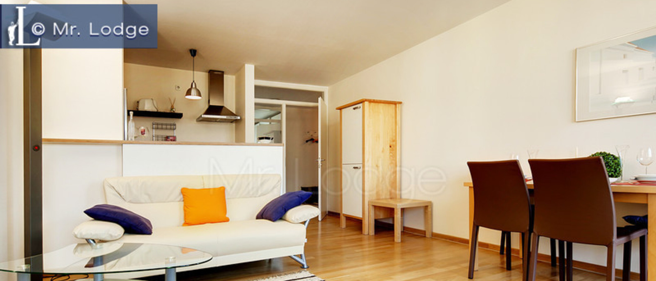appartement München Maxvorstadt - Museumsviertel 01 salon 2853