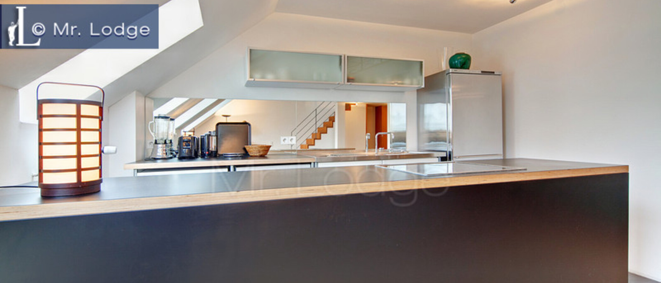 appartement München Maxvorstadt - Westen 04 cuisine 3075