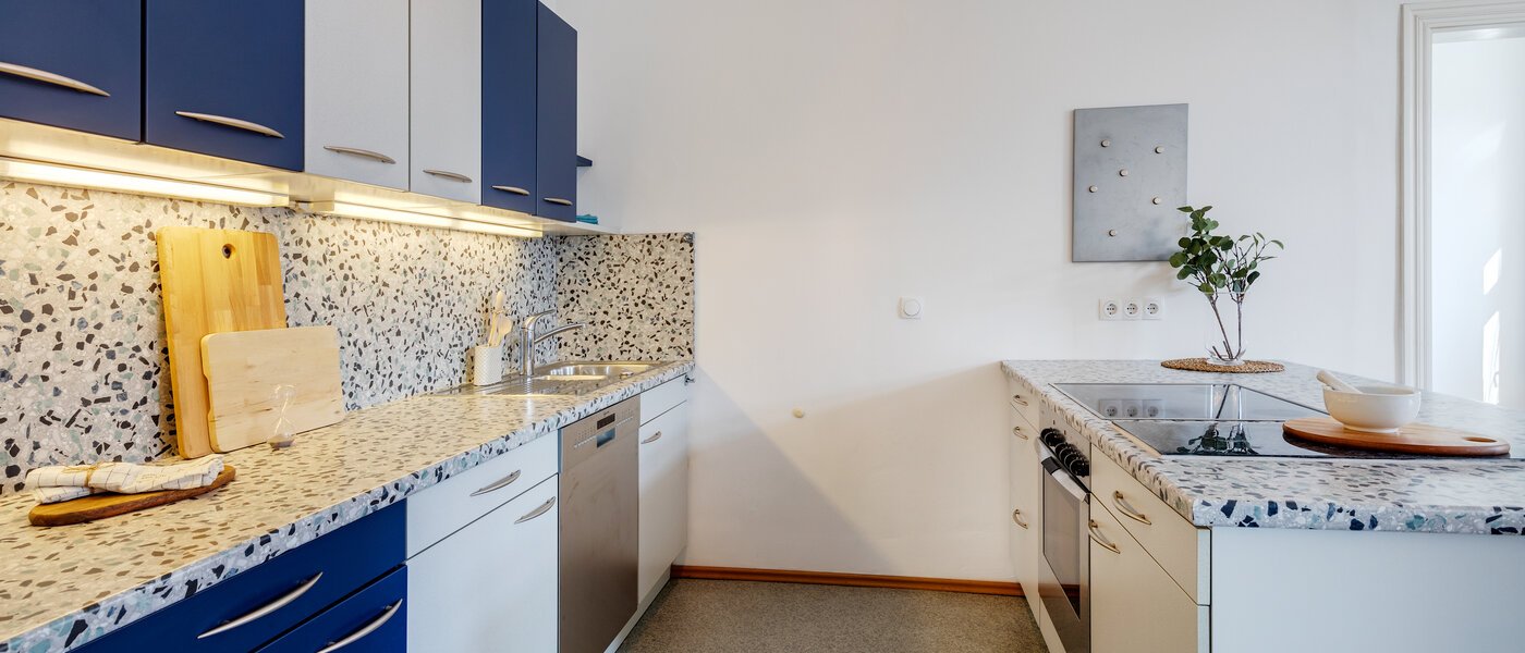 appartement München Haidhausen 03 cuisine 308