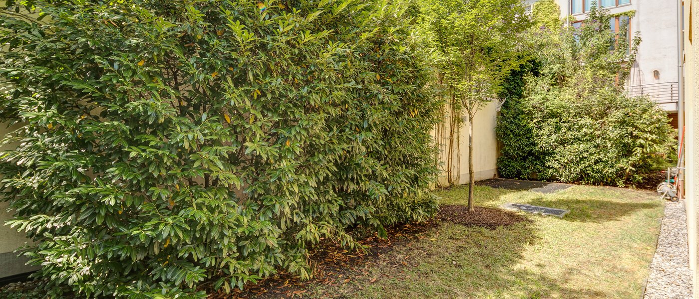 maison mitoyenne München Schwabing (links der Leopoldstraße) 02 jardin 3396